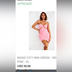 Brand new. Tags on. Only tried on. Sage and Paige mini dress. Pink